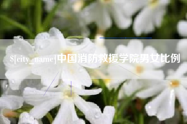 海盐中国消防救援学院男女比例
