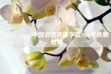 海盐中国消防救援学院2020年录取结果