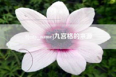 海盐九宫格的来源