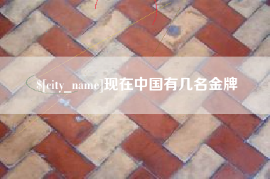海盐现在中国有几名金牌