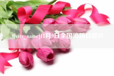 海盐11月9日全国消防日图片