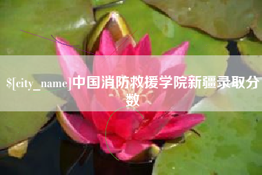 海盐中国消防救援学院新疆录取分数