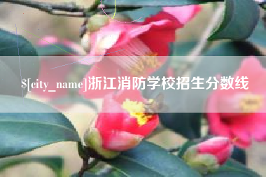 海盐浙江消防学校招生分数线