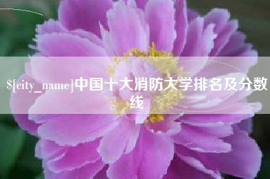 海盐中国十大消防大学排名及分数线