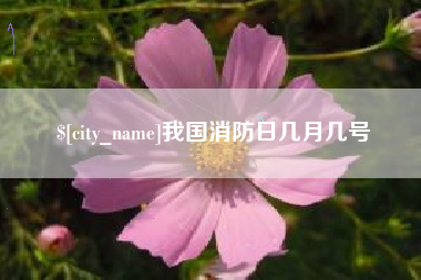 海盐我国消防日几月几号