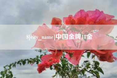 海盐中国金牌18金