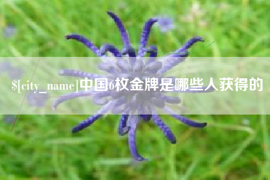 海盐中国6枚金牌是哪些人获得的