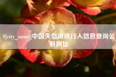 海盐中国失信被执行人信息查询公开网址