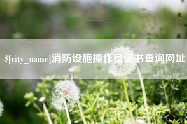 海盐消防设施操作员证书查询网址