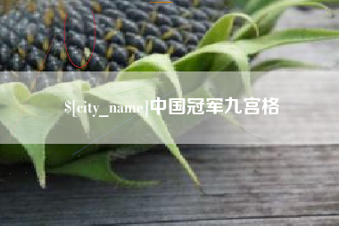 海盐中国冠军九宫格
