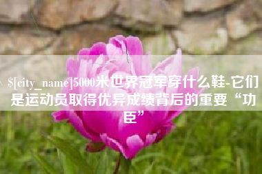 海盐5000米世界冠军穿什么鞋-它们是运动员取得优异成绩背后的重要“功臣”