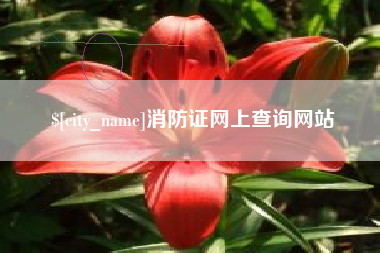 海盐消防证网上查询网站