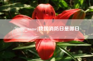 海盐我国消防日是哪日