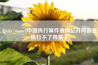海盐中国执行案件查询公开网都是执行不了得案子