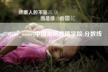 海盐中国消防救援学院 分数线