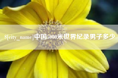 海盐中国5000米世界纪录男子多少