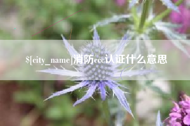 海盐消防ccc认证什么意思