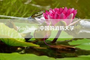 海盐中国的消防大学