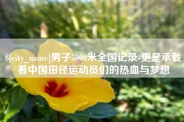 海盐男子5000米全国记录-更是承载着中国田径运动员们的热血与梦想