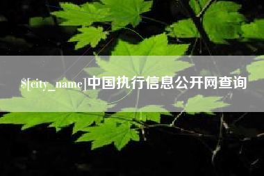 海盐中国执行信息公开网查询