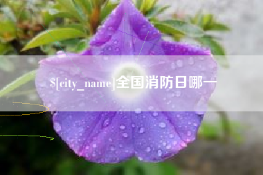 海盐全国消防日哪一