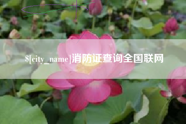 海盐消防证查询全国联网
