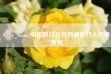 海盐中国执行公开网被执行人名单查询