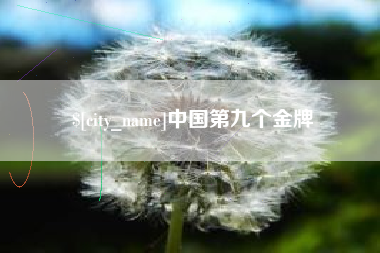 海盐中国第九个金牌