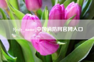 海盐中国消防网官网入口