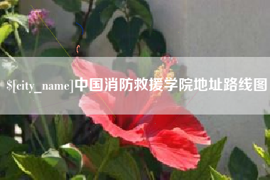 海盐中国消防救援学院地址路线图