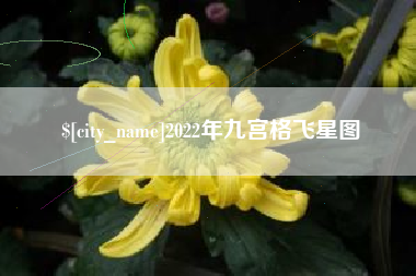 海盐2022年九宫格飞星图