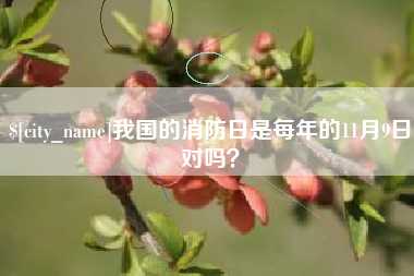 海盐我国的消防日是每年的11月9日对吗？
