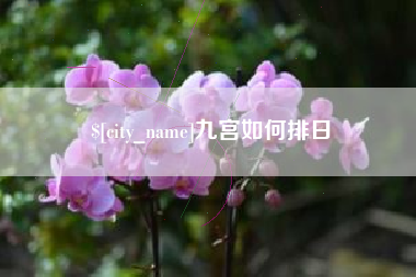 海盐九宫如何排日