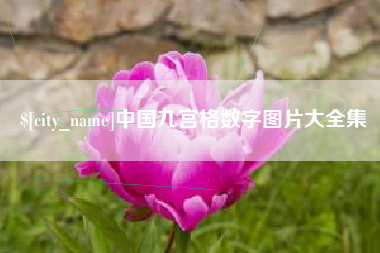 海盐中国九宫格数字图片大全集
