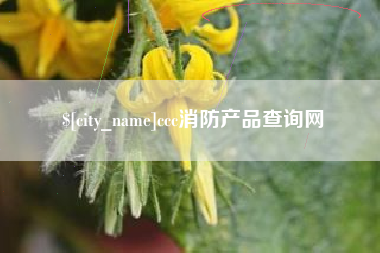 海盐ccc消防产品查询网