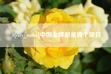 海盐中国金牌都是哪个项目