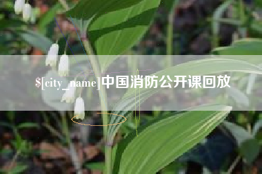 海盐中国消防公开课回放