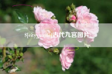 海盐古代九宫图片