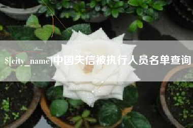 海盐中国失信被执行人员名单查询