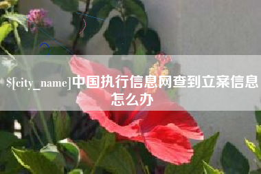 海盐中国执行信息网查到立案信息怎么办