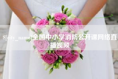 海盐全国中小学消防公开课网络直播视频