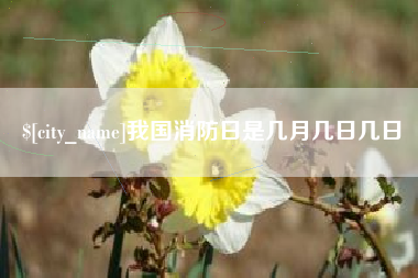 海盐我国消防日是几月几日几日