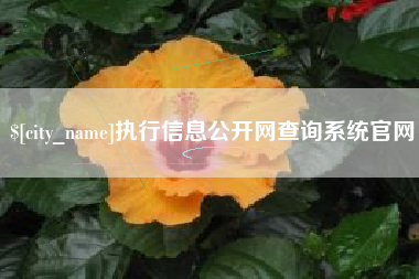 海盐执行信息公开网查询系统官网