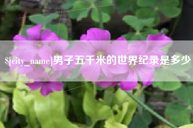 海盐男子五千米的世界纪录是多少