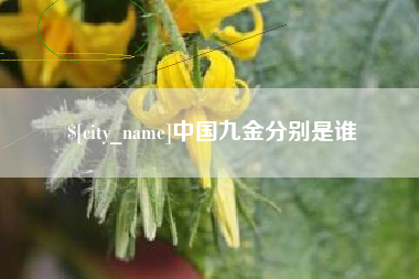 海盐中国九金分别是谁