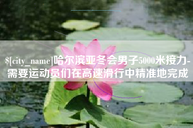海盐哈尔滨亚冬会男子5000米接力-需要运动员们在高速滑行中精准地完成