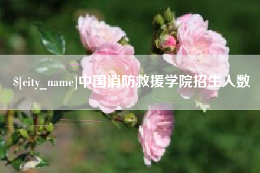 海盐中国消防救援学院招生人数