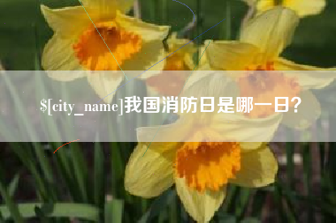 海盐我国消防日是哪一日？