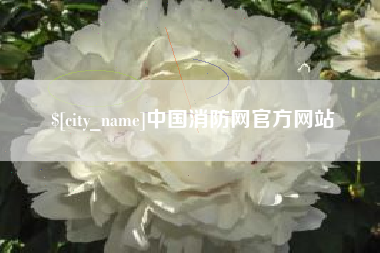 海盐中国消防网官方网站
