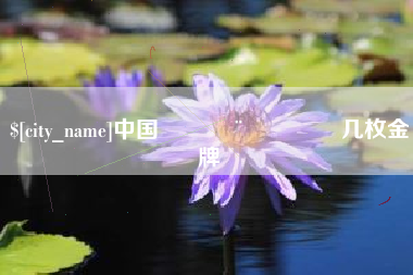 海盐中国🇨🇳几枚金牌